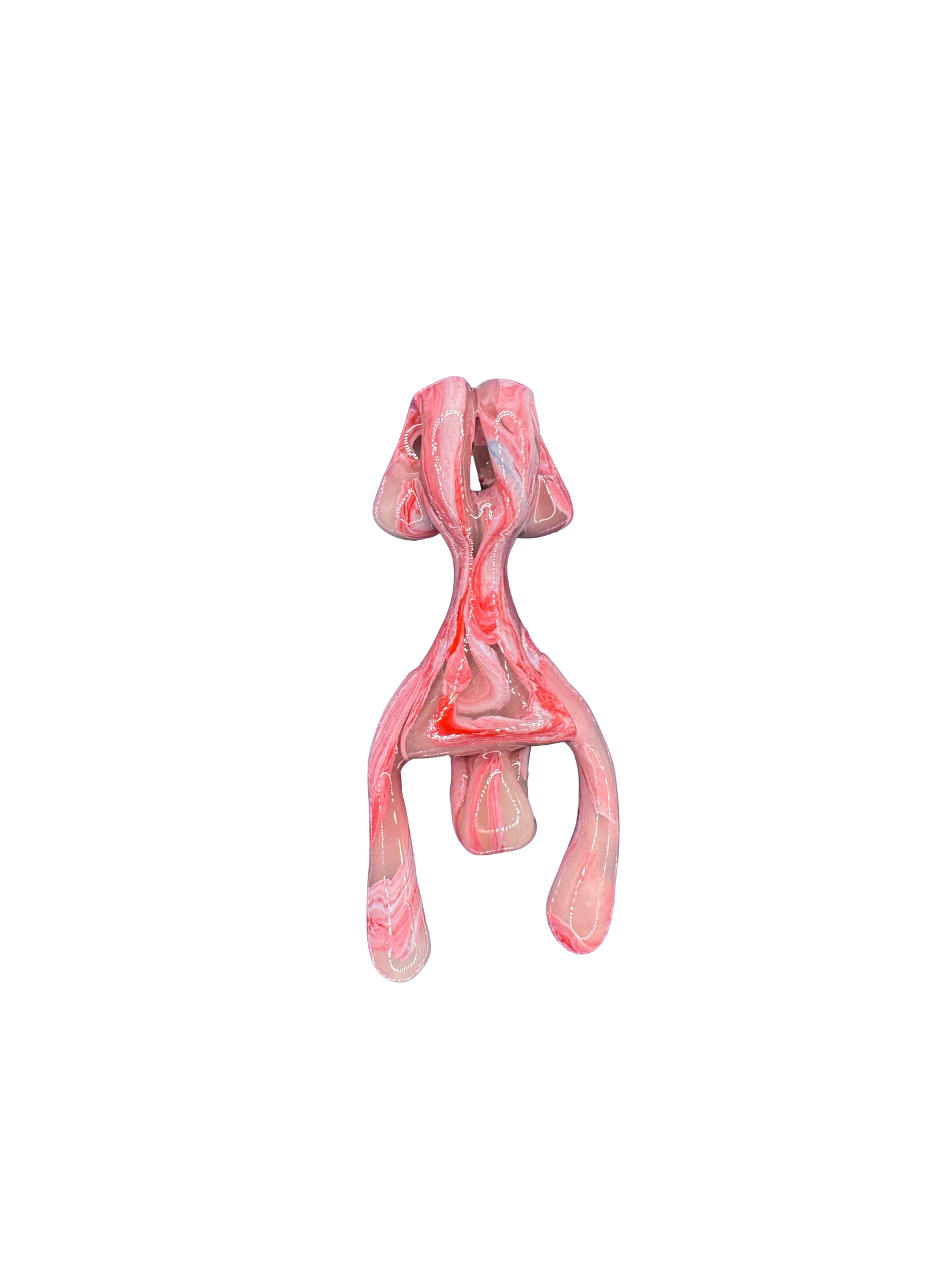 MUSCLE RECESS